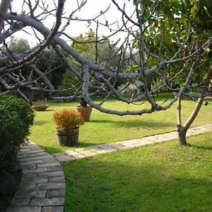 https://villa-chiarenza-maison-dhotes.sicilyhotelsitaly.net